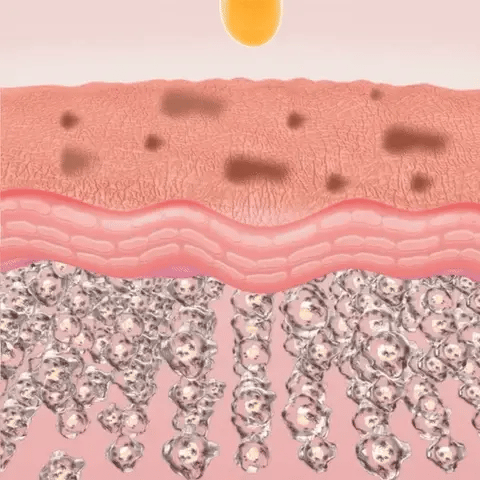 Éternelle Lumière Collagen Spot-Correction & Youth Renewal Collection