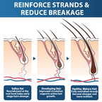 ✅🇺🇸 Developed by Trichologists：High-Concentration Minoxidil Hair Regrowth Serum